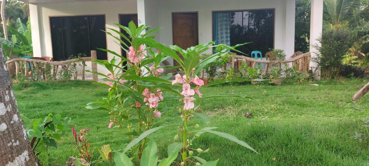 Andnindot Garden Resort Anda  Kültér fotó