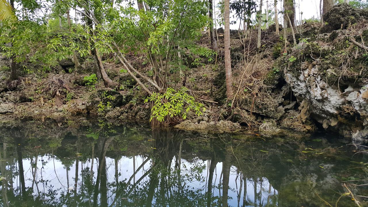 Andnindot Garden Resort Anda  Kültér fotó